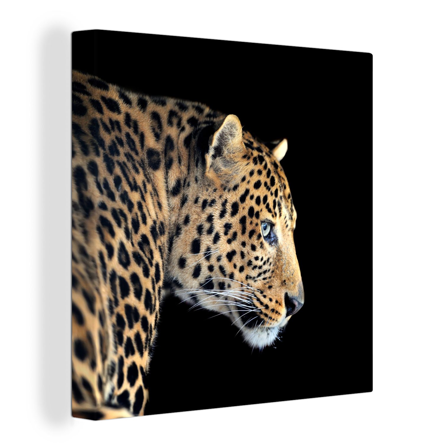 OneMillionCanvasses® Leinwandbild Leopard - Tiere - Schwarz, (1 St), Leinwand Bilder für Wohnzimmer Schlafzimmer