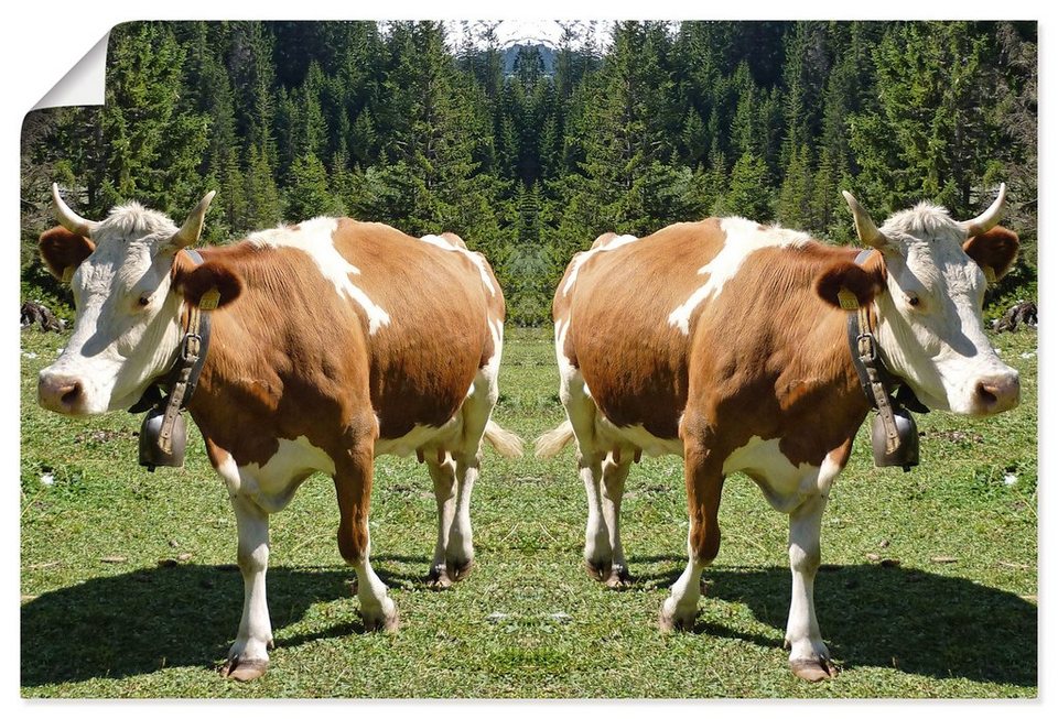 Artland Wandbild Kuh Trennung, Haustiere (1 St), als Leinwandbild,  Wandaufkleber oder Poster in versch. Größen