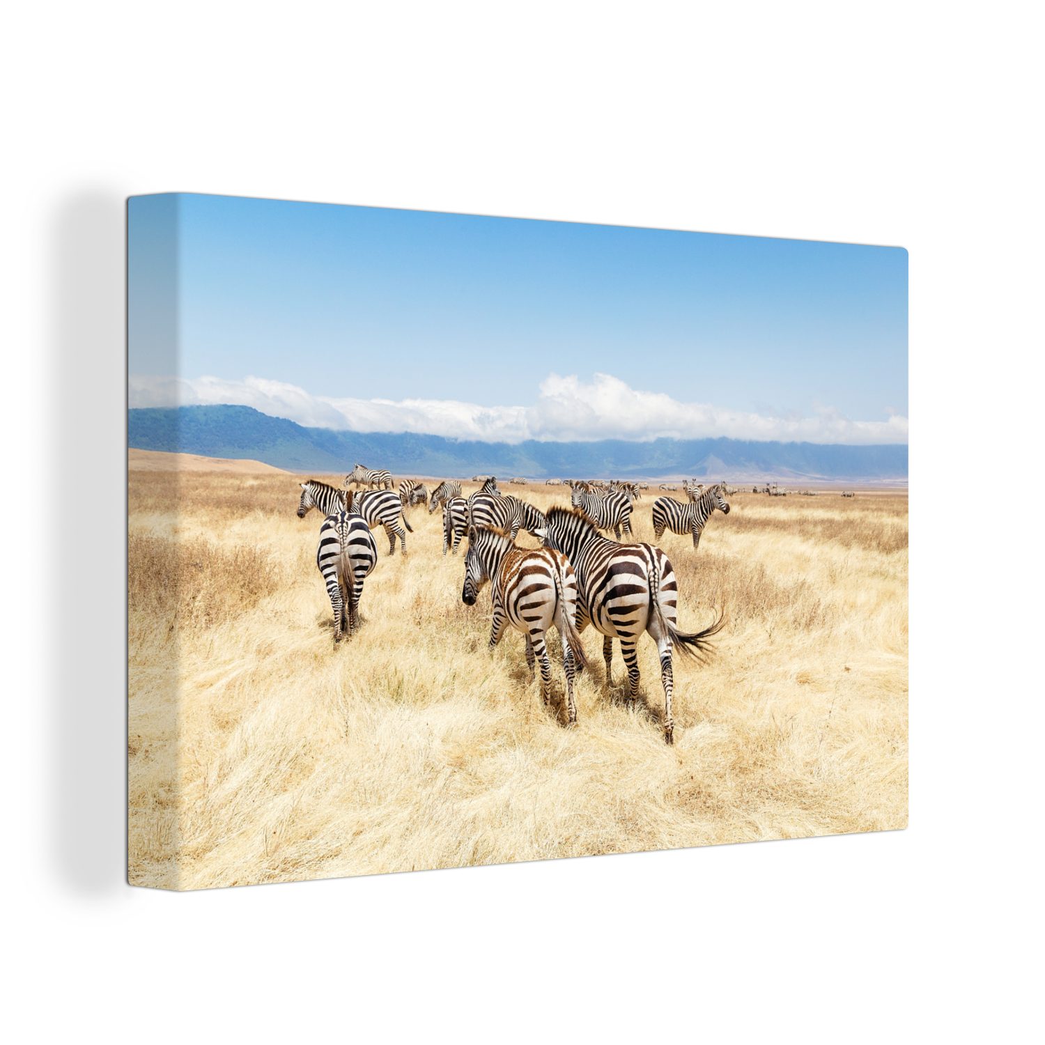 OneMillionCanvasses® Leinwandbild Zebraherde im Ngorongoro-Krater, (1 St), Wandbild Leinwandbilder, Aufhängefertig, Wanddeko, 30x20 cm