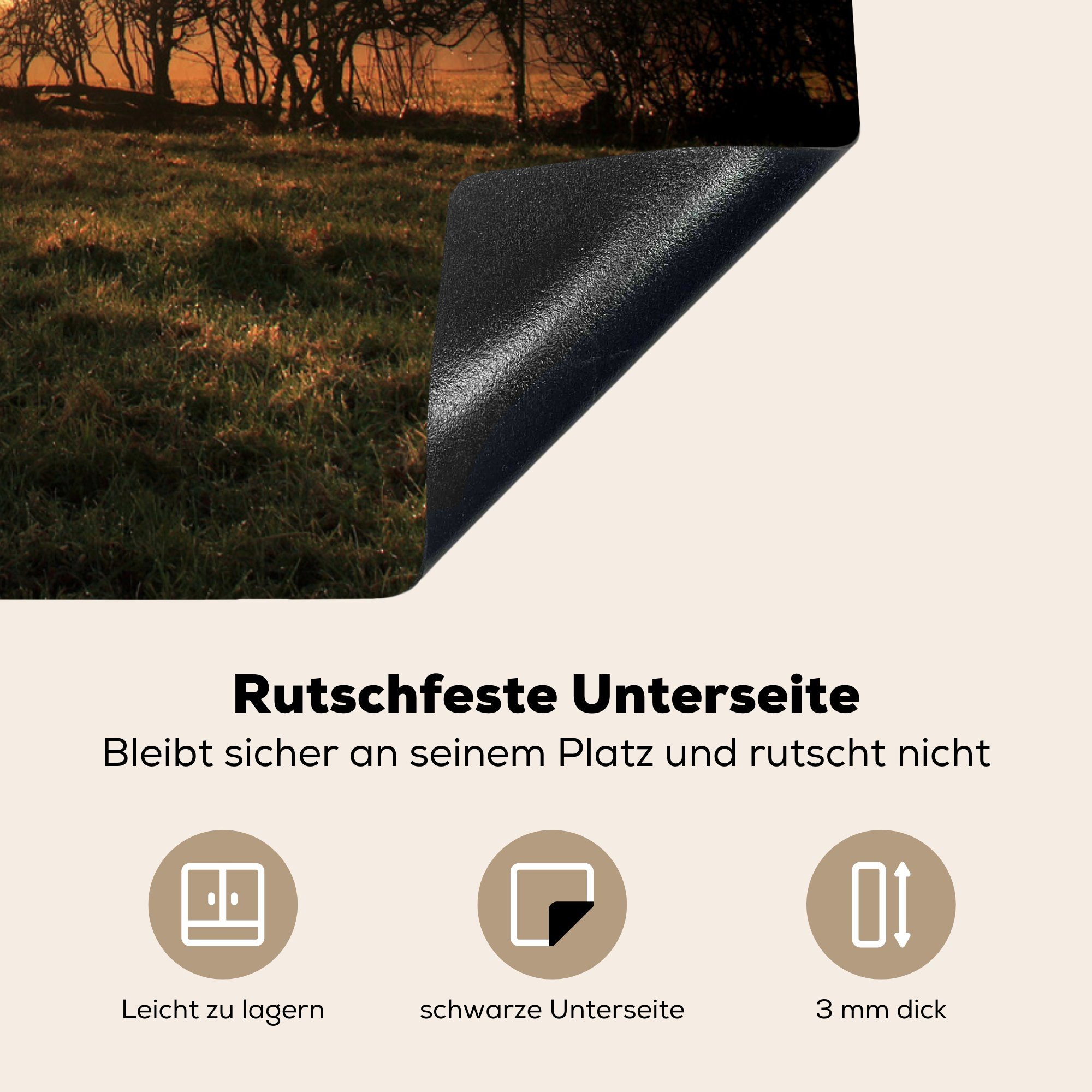 einer für tlg), Vinyl, 78x78 küche alten MuchoWow Herdblende-/Abdeckplatte Sonnenuntergang Eiche, Arbeitsplatte (1 hinter Ceranfeldabdeckung, cm,