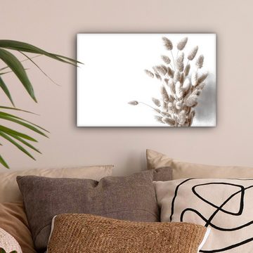 OneMillionCanvasses® Leinwandbild Pflanzen - Federn - Weiß, Beige, Weiß (1 St), Leinwand Bilder Klein, Wand Dekoration 30x20 cm