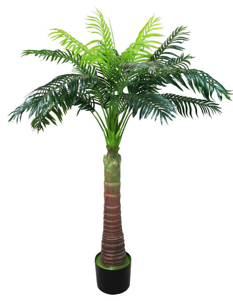 Kunstpalme Künstliche Palme Areca 180 cm große Künstliche Pflanze Palme, Arnusa, Höhe 180 cm, fertig im Topf