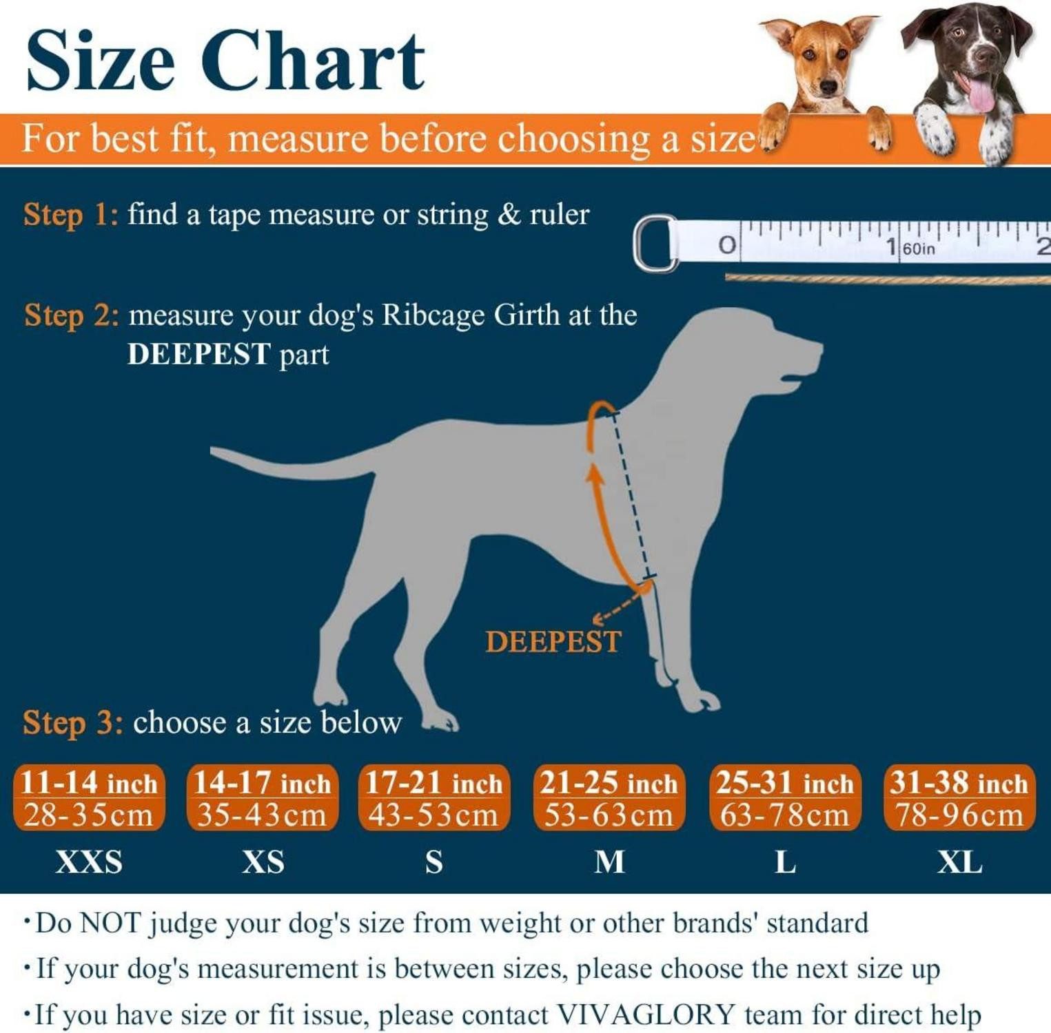 Thumbnail - VIVAGLORY Schutzkragen Ripstop Hunde Rettungsweste für Kleine Mittel Große Hunde Blau