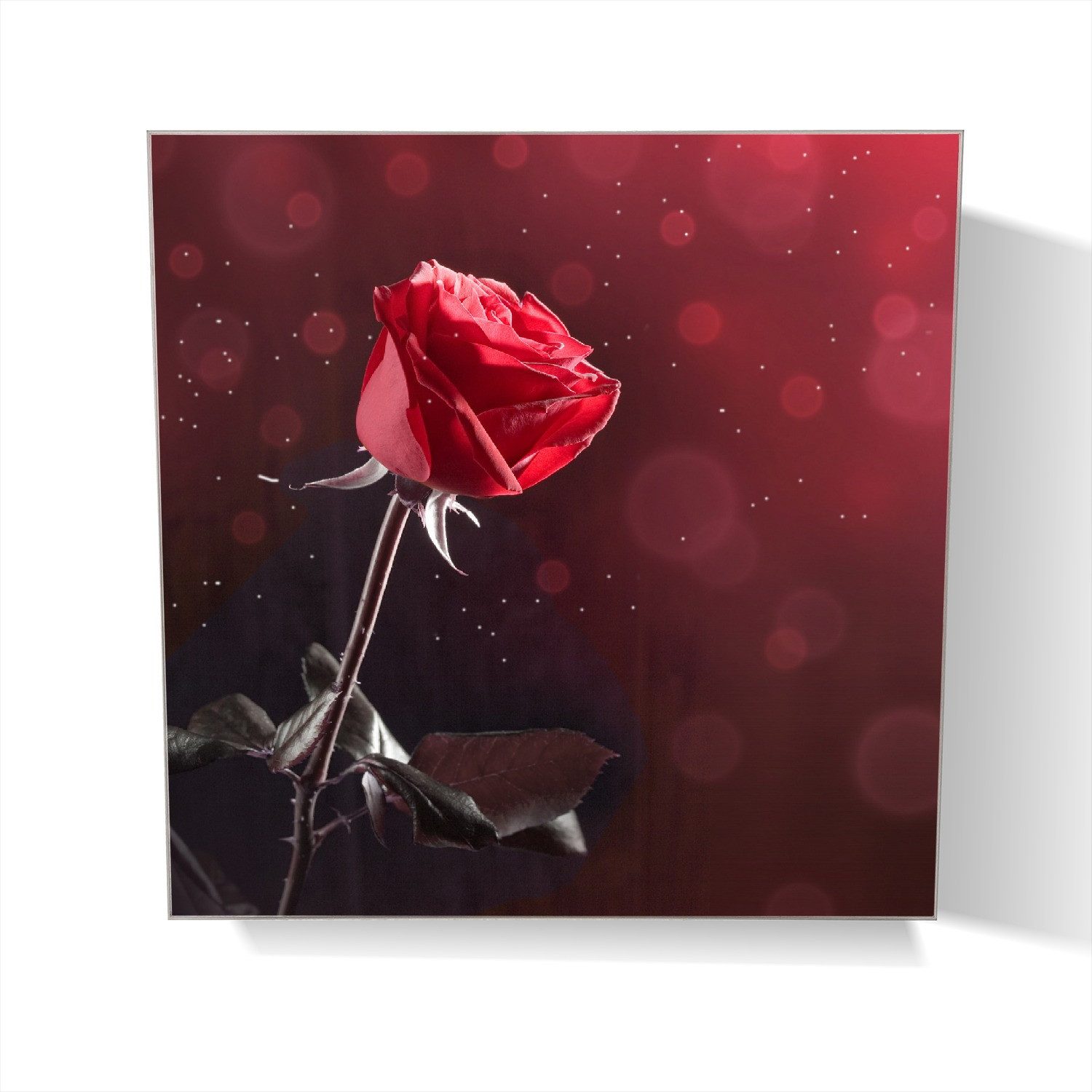 Wallario Schlüsselkasten Rote Rose Single (1 St., inkl. Aufhängeset), 30x30cm