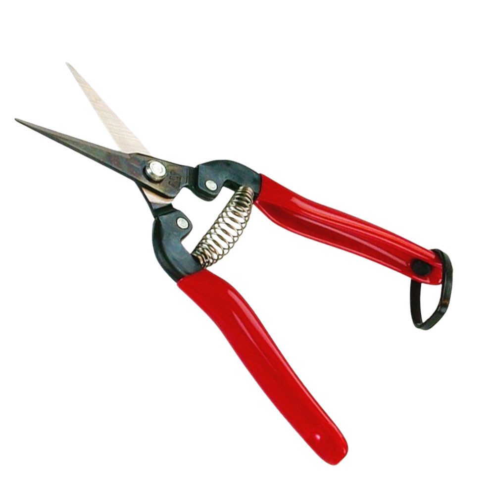 ARS by Tiger Astschere 1230-00 Floristenschere 300L, (Schere für Obstbäume), Vielseitig einsetzbar und Superscharf mit Sicherheitsverschluß