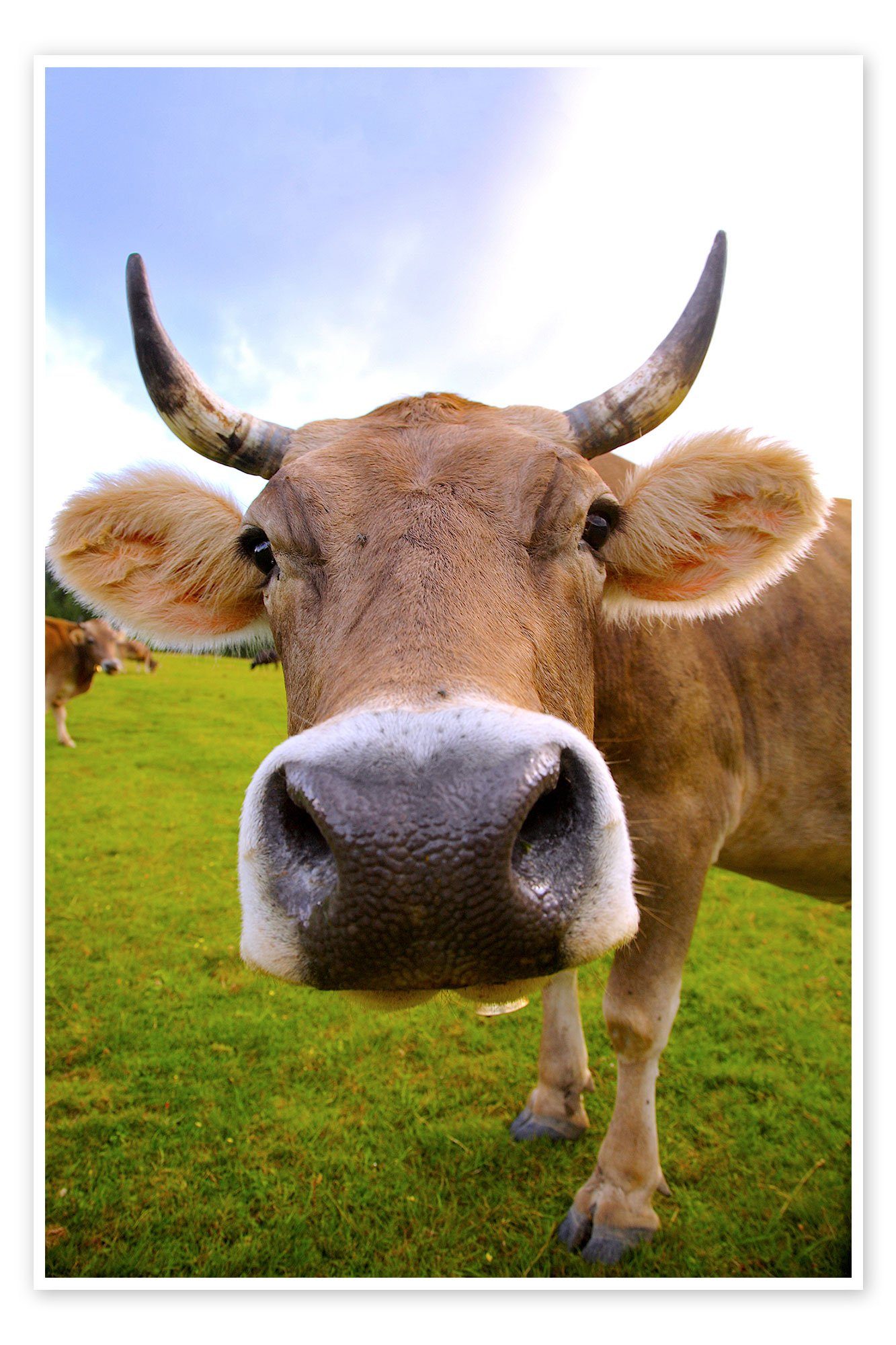 Poster Editors Choice