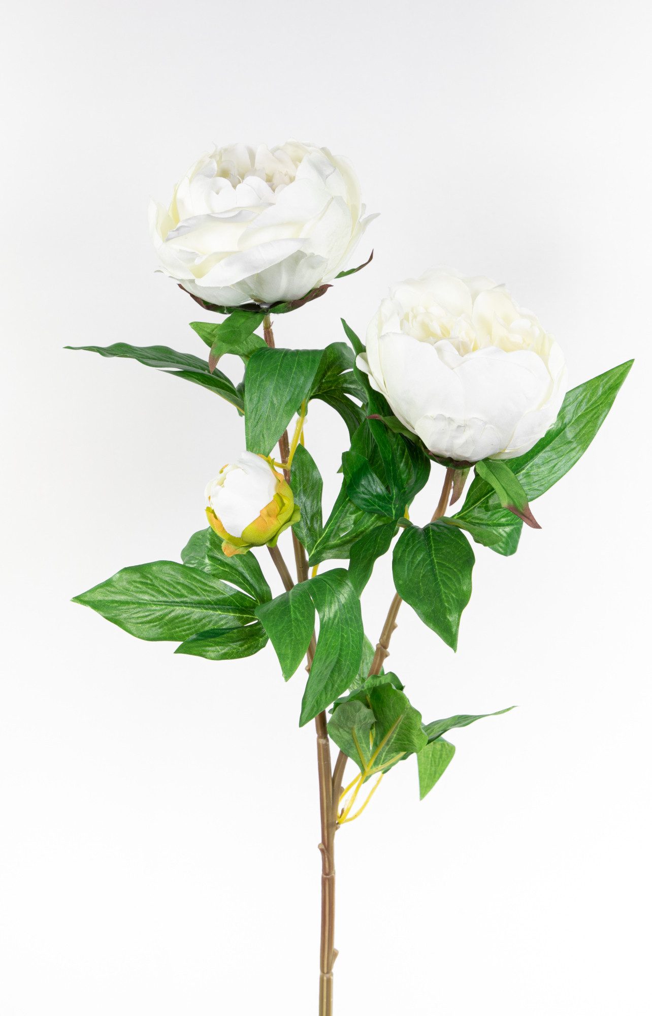 Kunstblume Pfingstrose Nature 68cm GA Seidenblumen künstliche Blumen Päonie, Seidenblumen Roß, Höhe 68 cm, Weiß – Bild 2 von 5