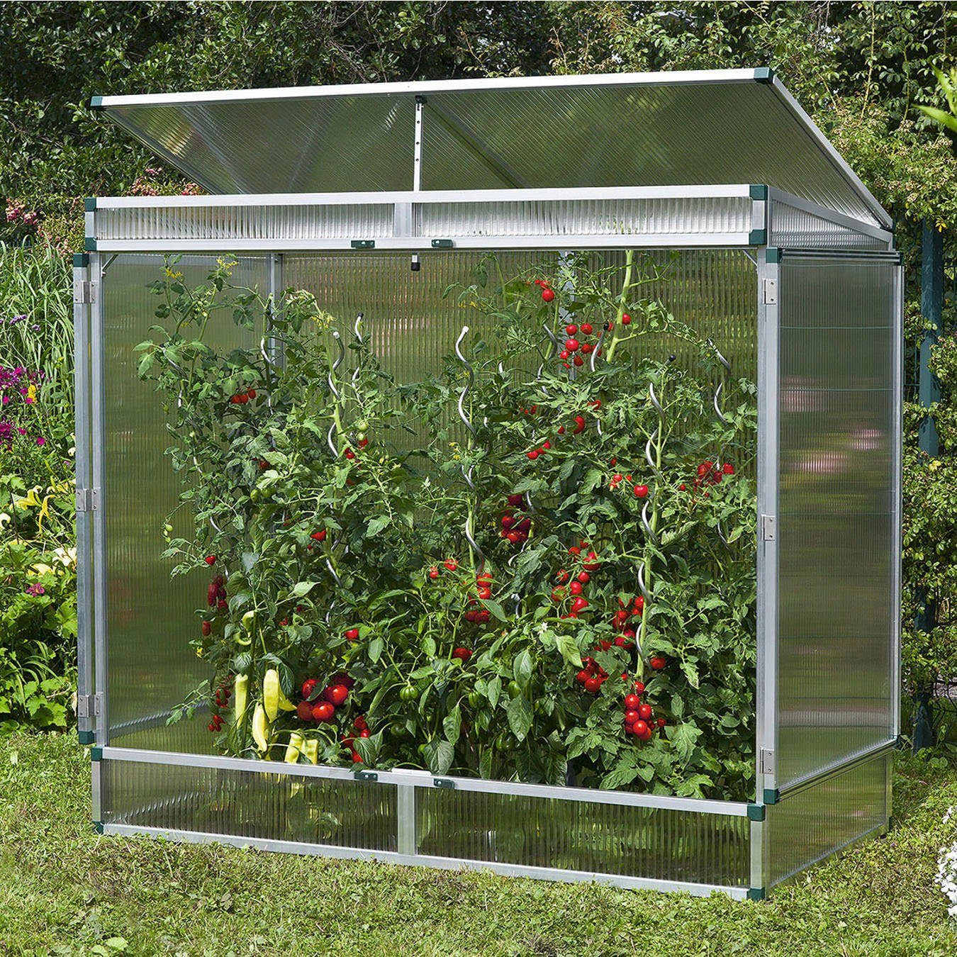 Beckmann Gewächshaus Pflanzenhaus Model...