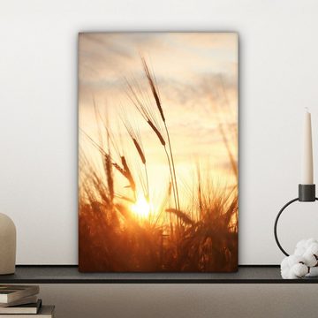 OneMillionCanvasses® Leinwandbild Schilf - Gras - Sonnenuntergang - Natur - Horizont, (1 St), Leinwandbild fertig bespannt inkl. Zackenaufhänger, Gemälde, 20x30 cm