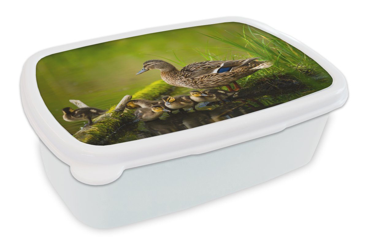 MuchoWow Lunchbox Ente Wasser - für - - Kinder Brotbox Jungs Brotdose, (2-tlg), und Mädchen und Vögel weiß Moos, - Erwachsene, für Zweig Kunststoff