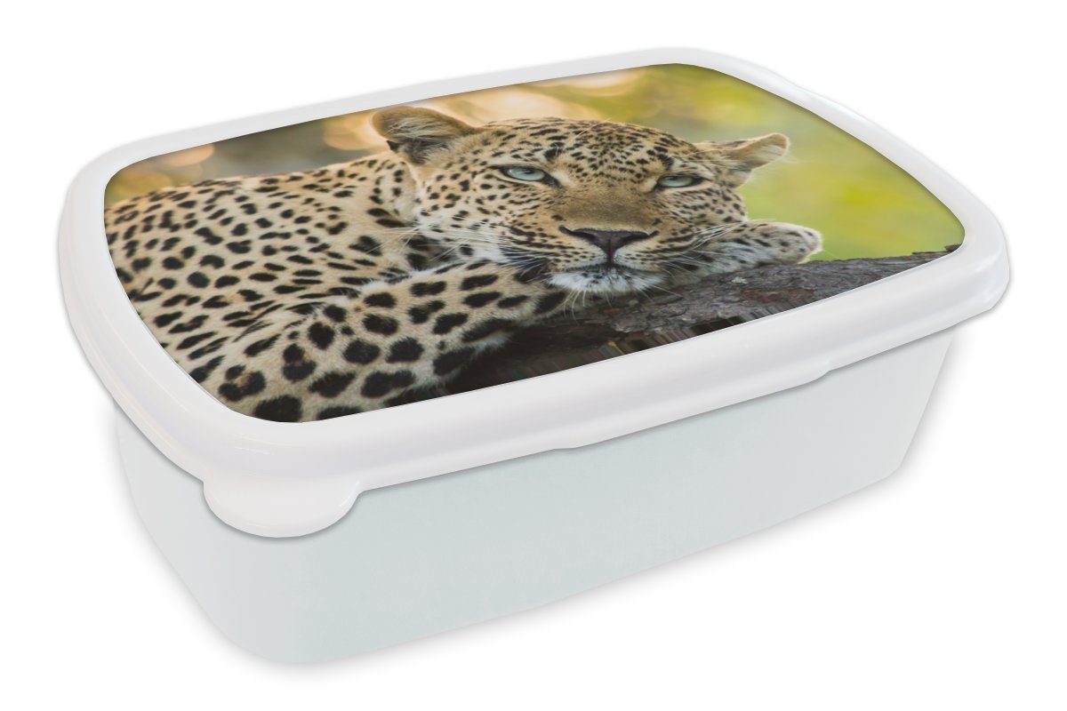 MuchoWow Lunchbox Leopard - Natur - Sonnenuntergang, Kunststoff, (2-tlg), Brotbox für Kinder und Erwachsene, Brotdose, für Jungs und Mädchen weiß