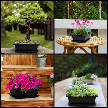 Belle Vous Blumentopf Bonsai Set - 6 STK Trainingspflanzen, 6 STK TrainingsBonsai Set 16,5 x 22,5cm Kunststoff Blumentopf