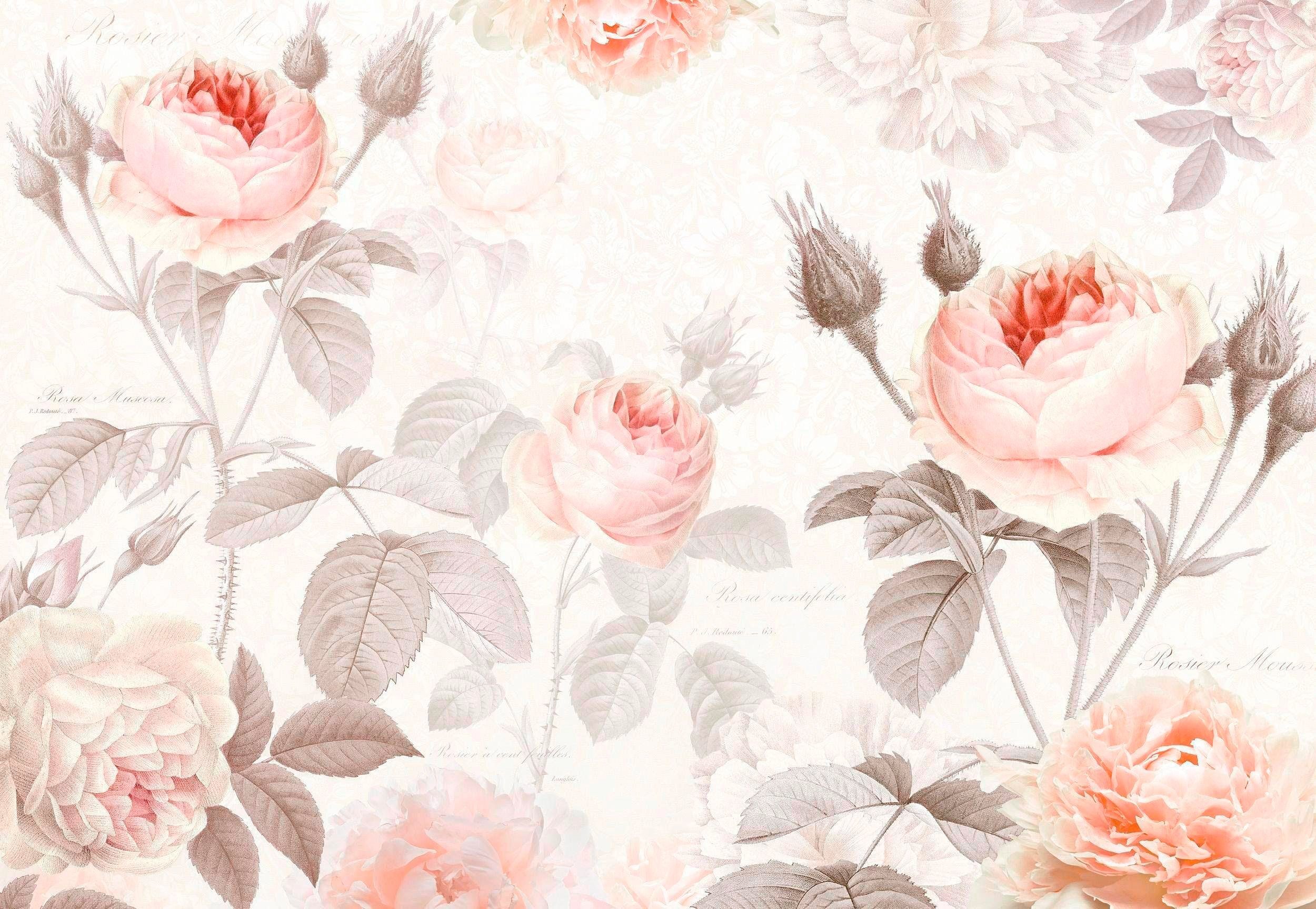 Komar Vliestapete Vlies - La Maison - Größe 368 x 248 cm, glatt, bedruckt, Wohnzimmer, Schlafzimmer