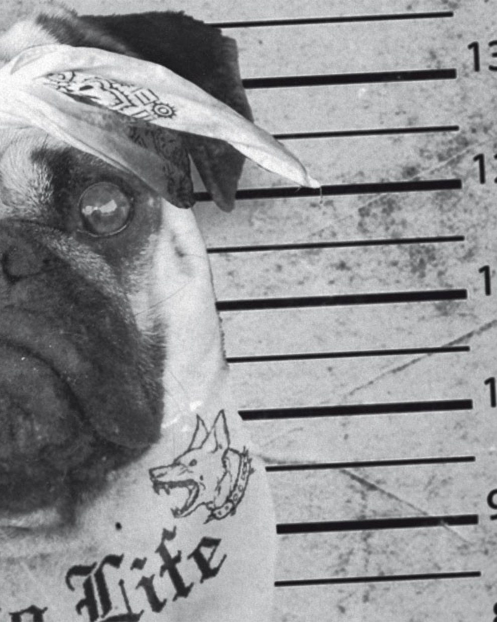 style3 T-Shirt Mops Tattoo pug hund günstig online kaufen