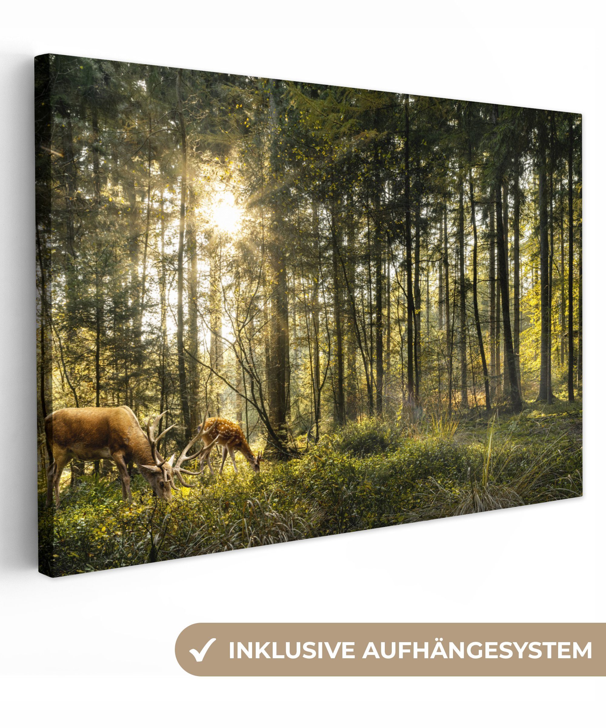 OneMillionCanvasses® Leinwandbild Hirsche - Natur - günstig online kaufen