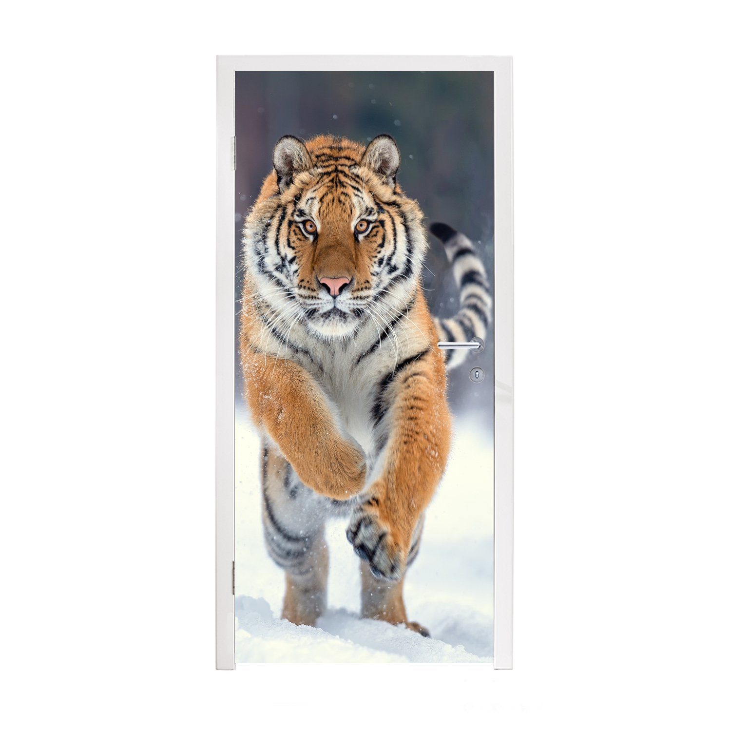 MuchoWow Türtapete Tiger - Landschaft - Schnee - Tiere, Matt, bedruckt, (1 St), Fototapete für Tür, Türaufkleber, 75x205 cm