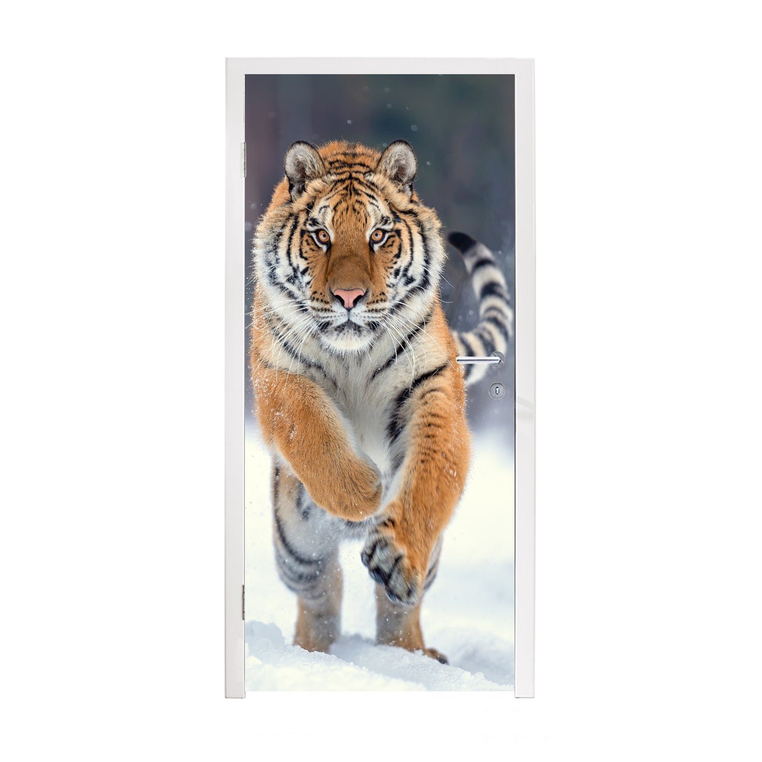 MuchoWow Türtapete Tiger - Landschaft - Schnee - Tiere, Matt, bedruckt, (1 St), Selbstklebende Tapete, Folie für Möbel, 75x205 cm