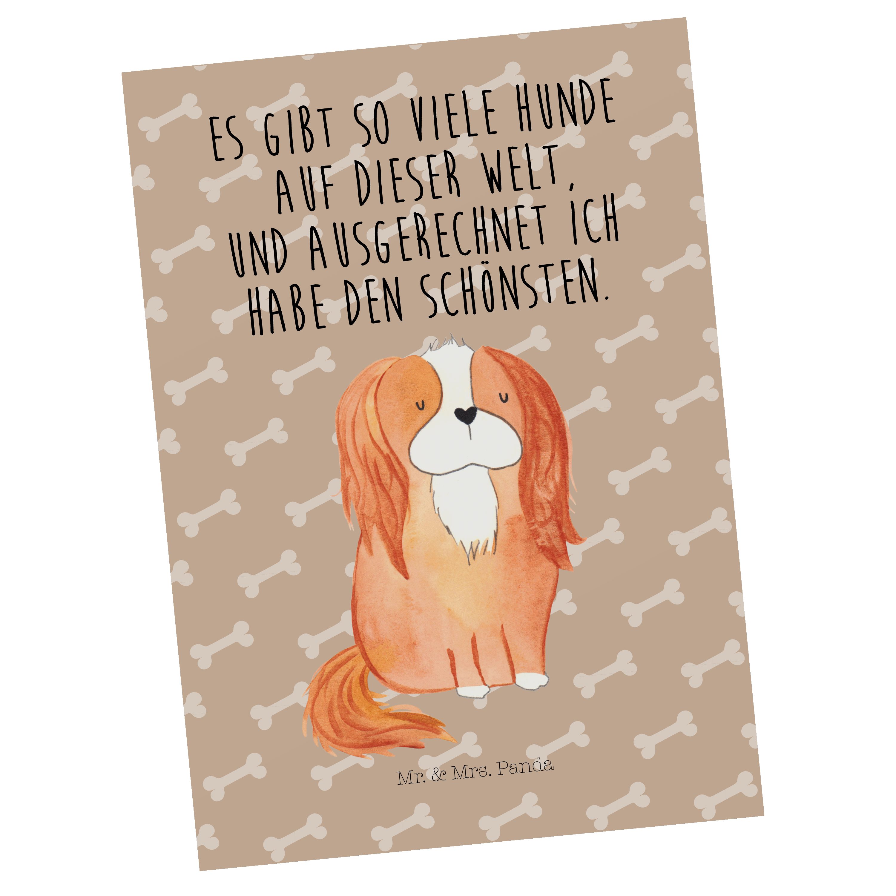 Mr. & Mrs. Panda Postkarte Cavalier King Charles Spaniel - Hundeglück - Geschenk, Sprüche, Hunde