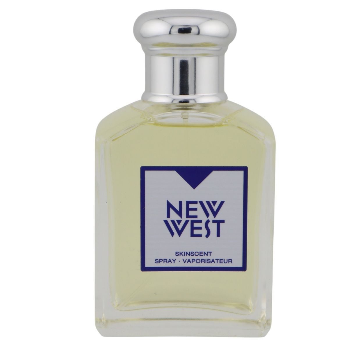 aramis Eau de Toilette Aramis New West for Him Skinscent Spray 100 ml