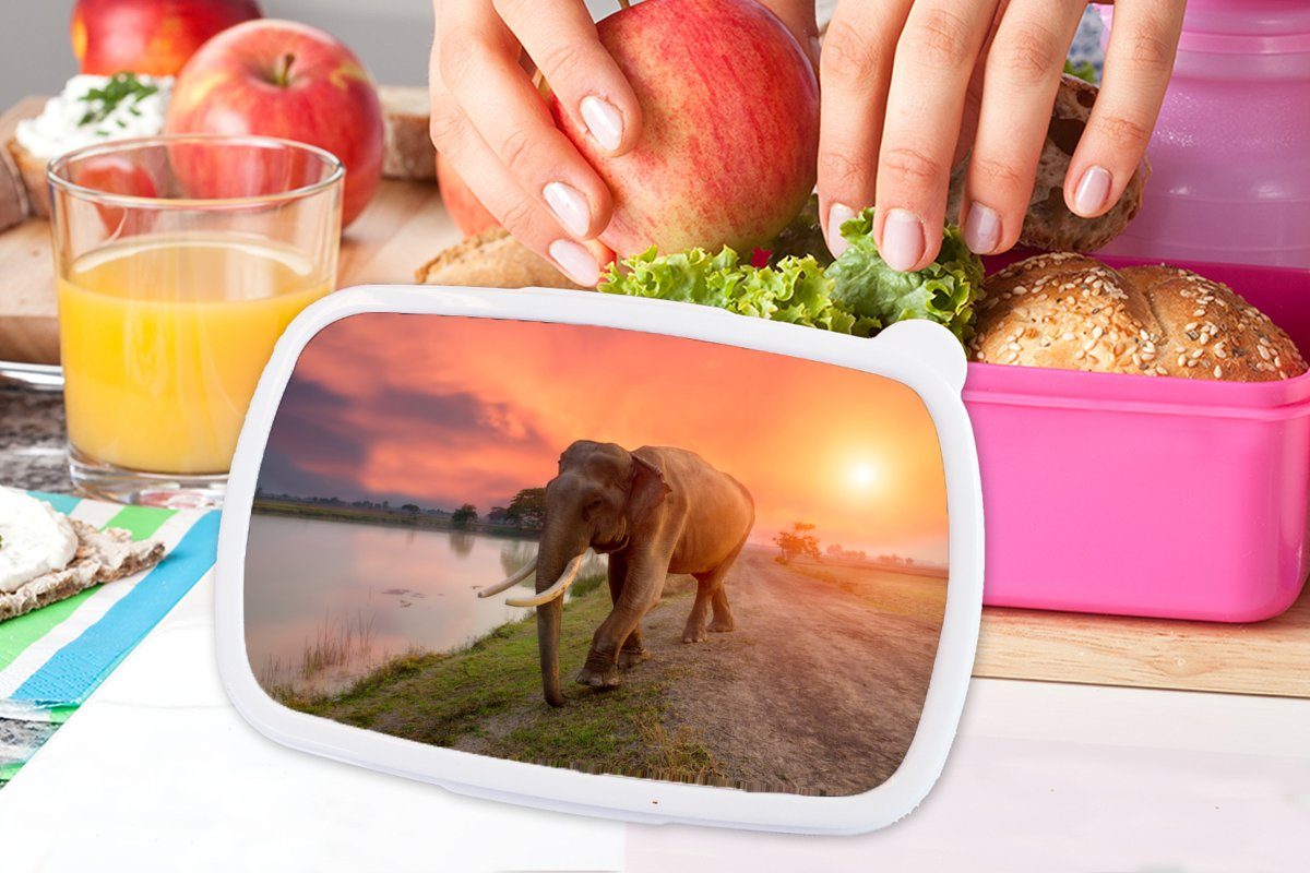 Wasser Kinder, - (2-tlg), Sonnenuntergang Kunststoff Brotdose rosa Lunchbox Snackbox, - Erwachsene, - Elefant Tiere Natur, - Kunststoff, Mädchen, für MuchoWow Brotbox