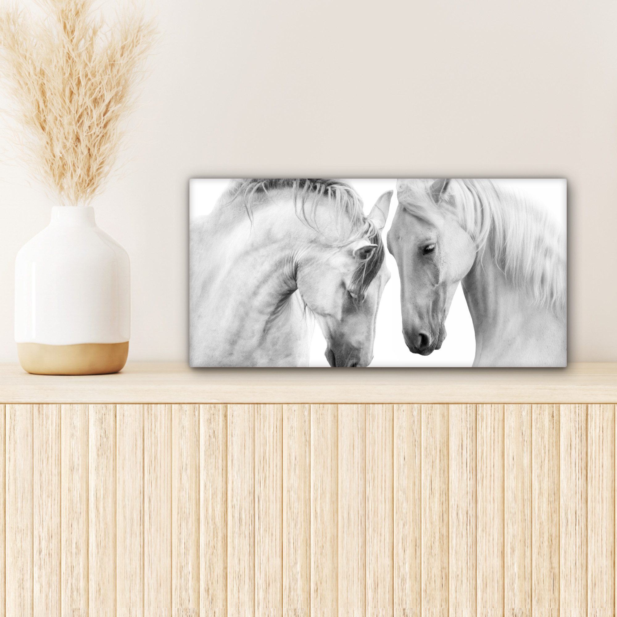 OneMillionCanvasses® Leinwandbild Panorama Pferd - Tiere - Porträt - Weiß, Fotodruck (1 St), Wandbild, Deko Schlafzimmer Wohnzimmer Flur 40x20 cm