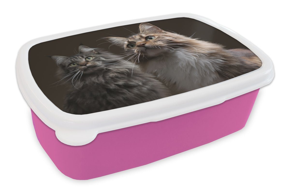 MuchoWow Lunchbox Zwei süße Maine Coon Katzen, Kunststoff, (2-tlg), Brotbox für Erwachsene, Brotdose Kinder, Snackbox, Mädchen, Kunststoff rosa