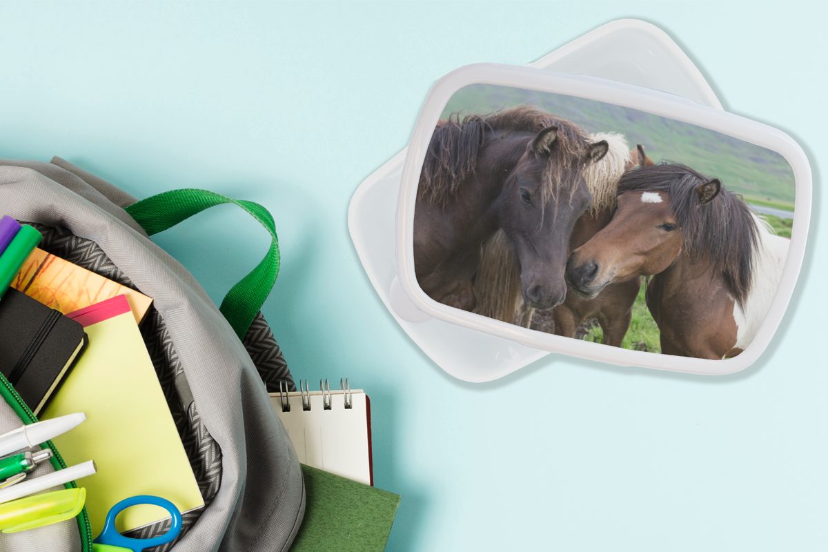 MuchoWow Lunchbox Pferde - Brotbox Brotdose, Kunststoff, - Tiere für weiß und für (2-tlg), Braun, Erwachsene, Jungs und Mädchen Kinder
