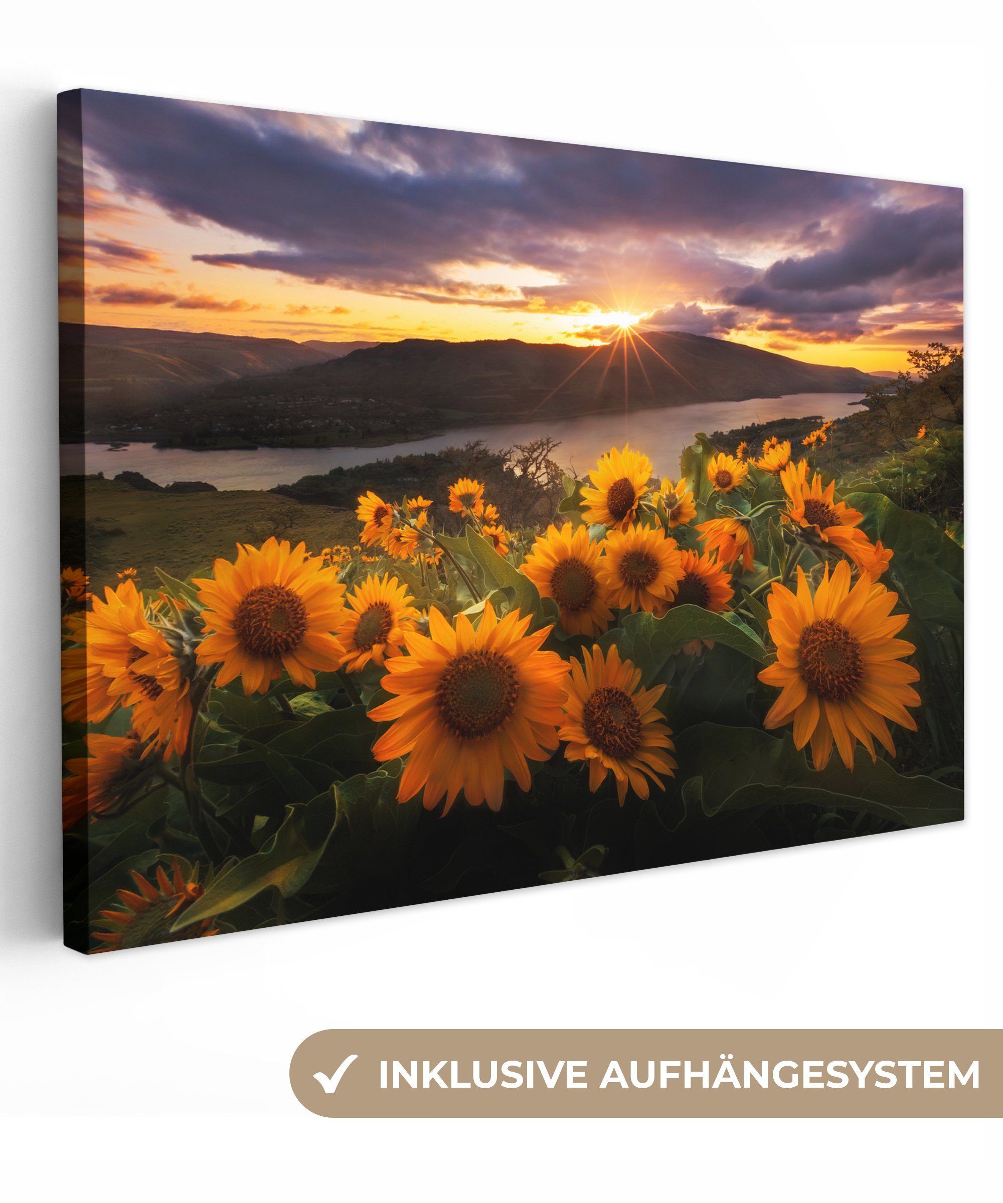 OneMillionCanvasses® Leinwandbild Sonnenblumenfeld in den Bergen, (1 St), Wandbild Leinwandbilder, Aufhängefertig, Wanddeko, 30x20 cm