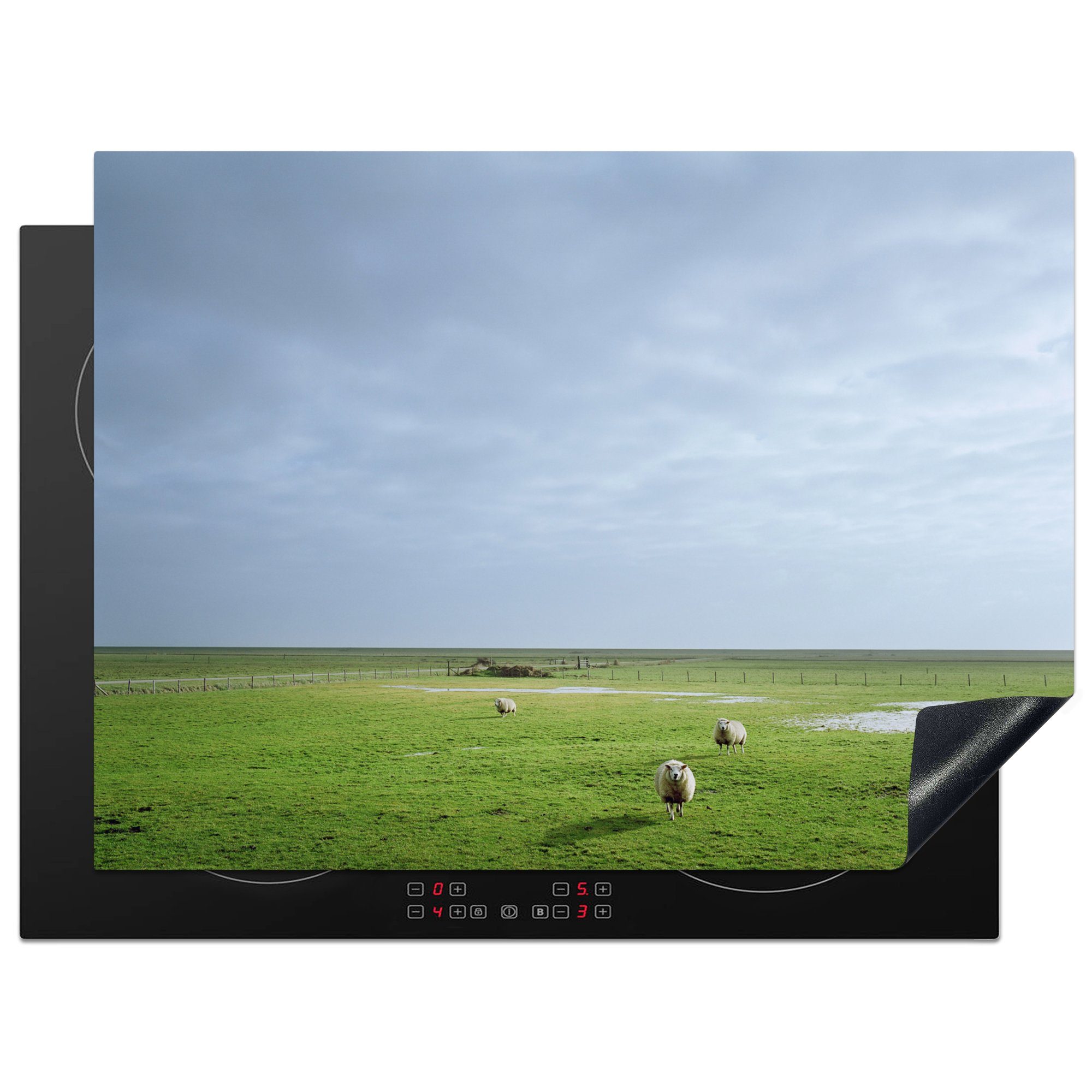 MuchoWow Herdblende-/Abdeckplatte Schafe auf einer ländlichen Wiese auf Terschelling, Vinyl, (1 tlg), 70x52 cm, Mobile Arbeitsfläche nutzbar, Ceranfeldabdeckung
