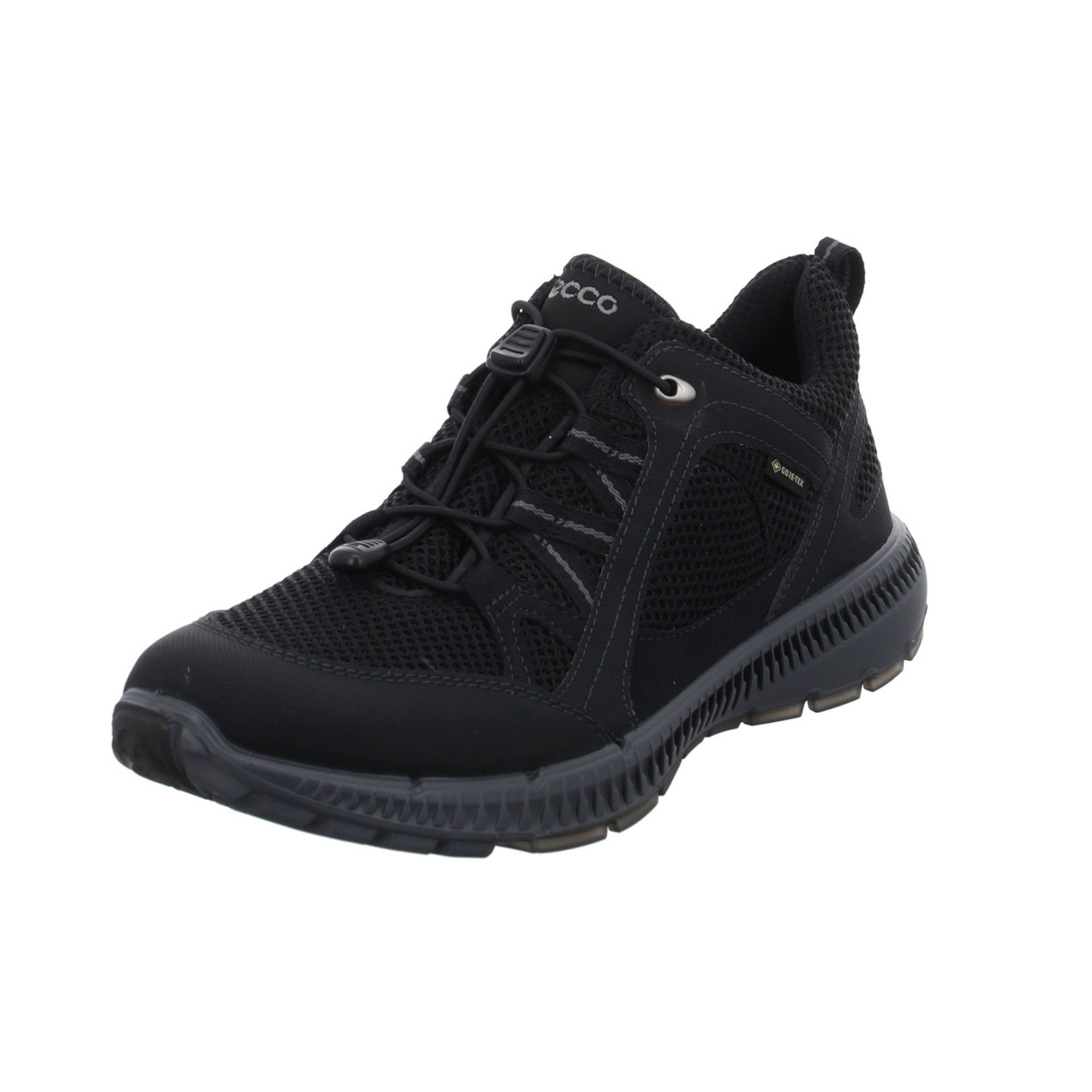 Ecco Damen Schuhe Outdoor Terracruise GTX Outdoorschuh Outdoorschuh Synthetikkombination black