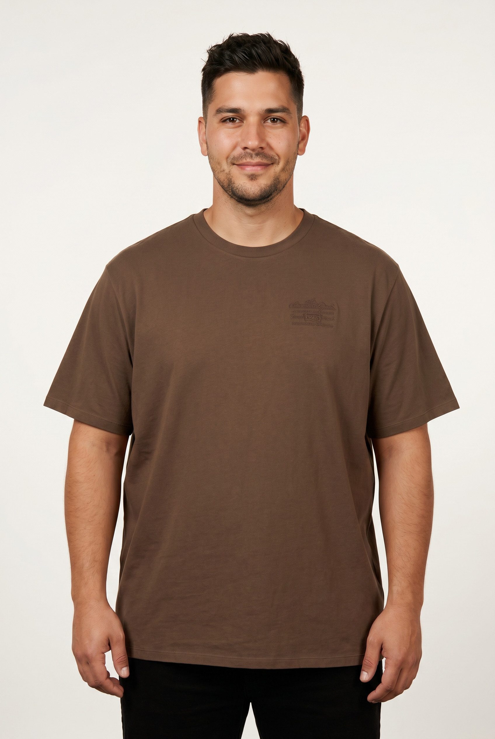 Levi's® Plus T-Shirt LSE B&T BIG GRAPHIC TEE mit Logostickerei auf der Brust