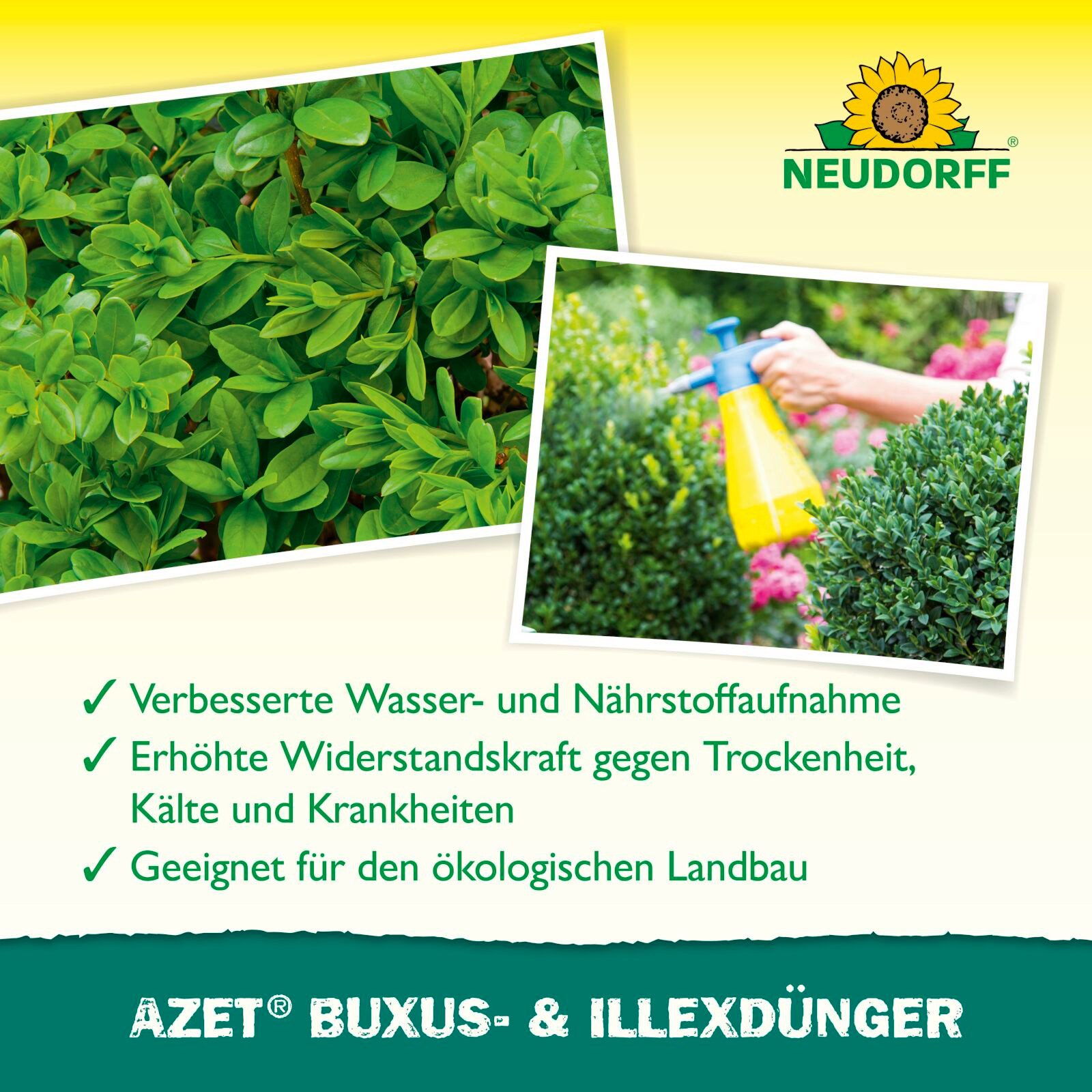 Neudorff Pflanzendünger BioTrissol Buxus- und IlexDünger 250 ml – Bild 4 von 5