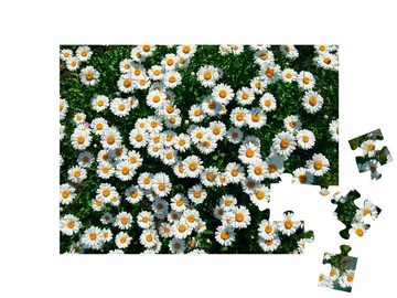 puzzleYOU Puzzle Gänseblümchen auf dem Feld von oben, 48 Puzzleteile, puzzleYOU-Kollektionen Blumenwiesen, Blumen & Pflanzen