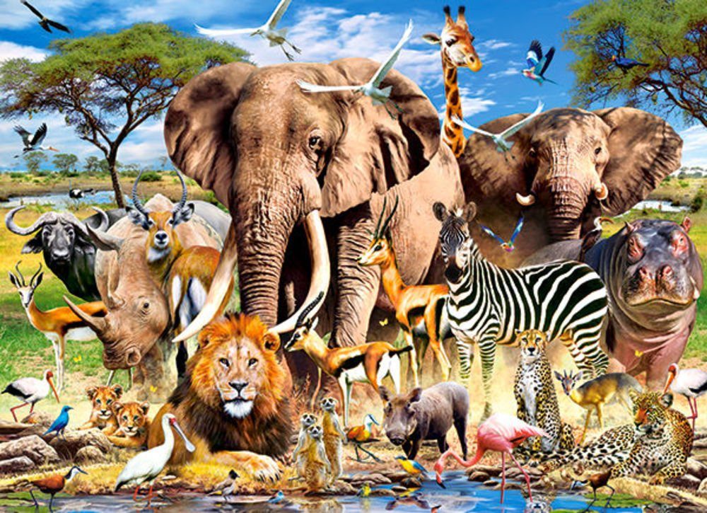 Puzzle Savanna Castorland B-222155 Puzzleteile Teile, Puzzle 200 Animals Castorland