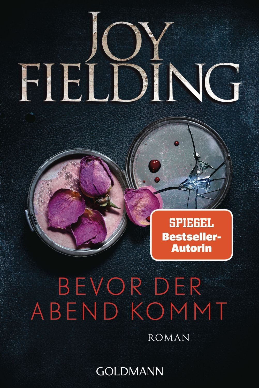 Bevor der Abend kommt / Joy Fielding