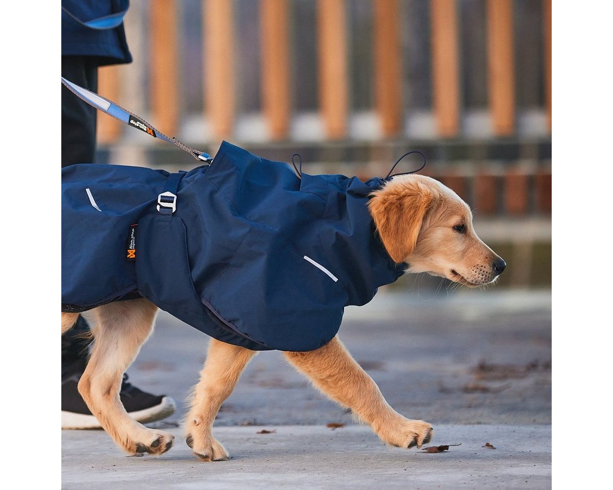 Thumbnail - Non-stop dogwear Hundemantel Winterjacke Glacier Wool Jacket 2.0 marine
