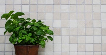 Mosani Bodenfliese Marmor Mosaik Fliese Naturstein elfenbein creme hellbeige