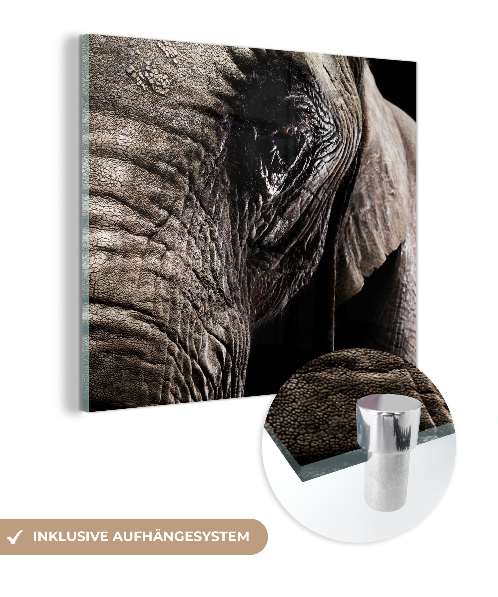 MuchoWow Acrylglasbild Elefant - Tiere - Nahaufnahme - Schwarz, (1 St), Glasbilder - Bilder auf Glas Wandbild - Foto auf Glas - Wanddekoration