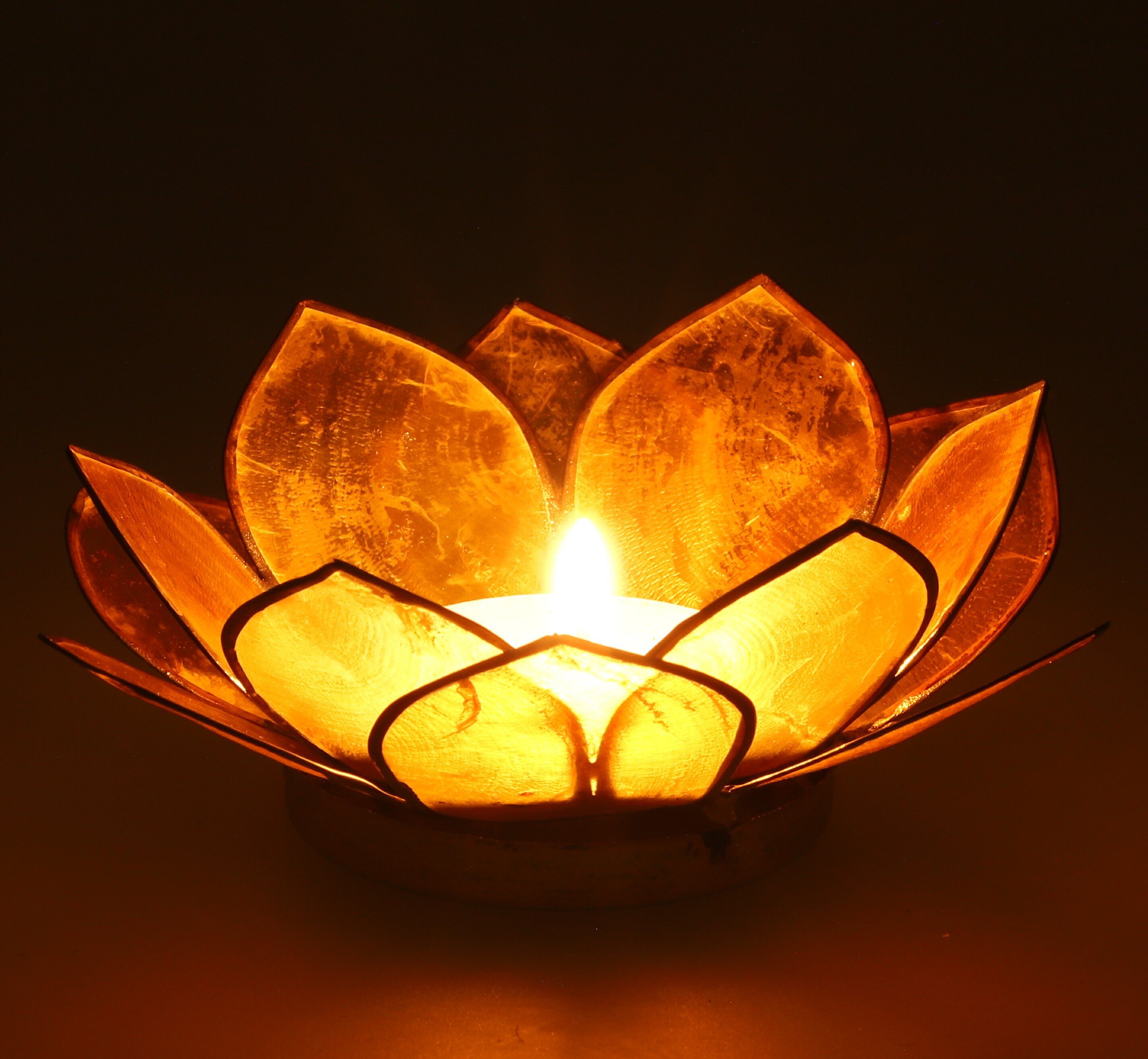 Guru-Shop Windlicht Lotus Teelicht Muschel 11*4 cm - goldgelb günstig online kaufen