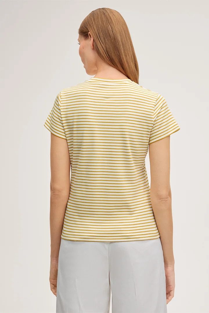 Windsor Kurzarmshirt DT500