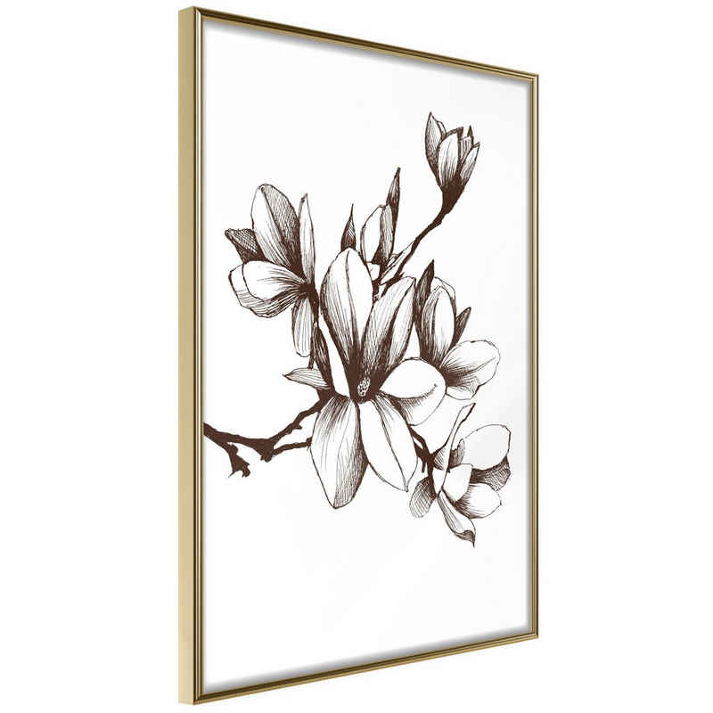 Artgeist Poster Renaissance Magnolias