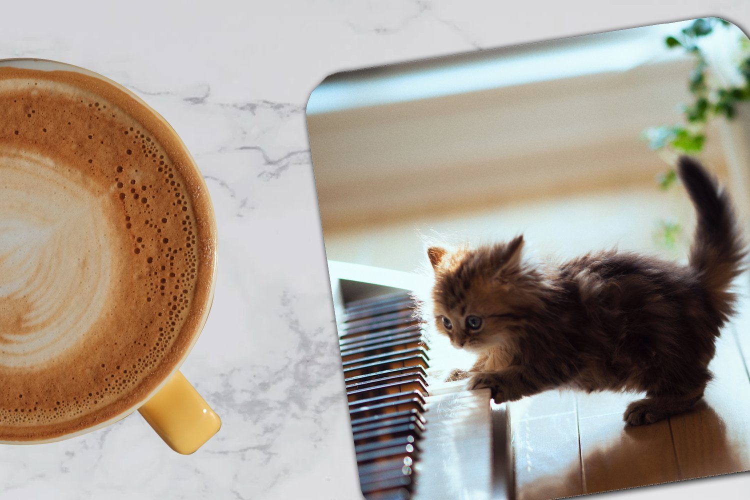 MuchoWow Glasuntersetzer Katze - für Tischuntersetzer, Zubehör Tasse Untersetzer, - 6-tlg., Korkuntersetzer, Glasuntersetzer, Gläser, Kätzchen, Tier