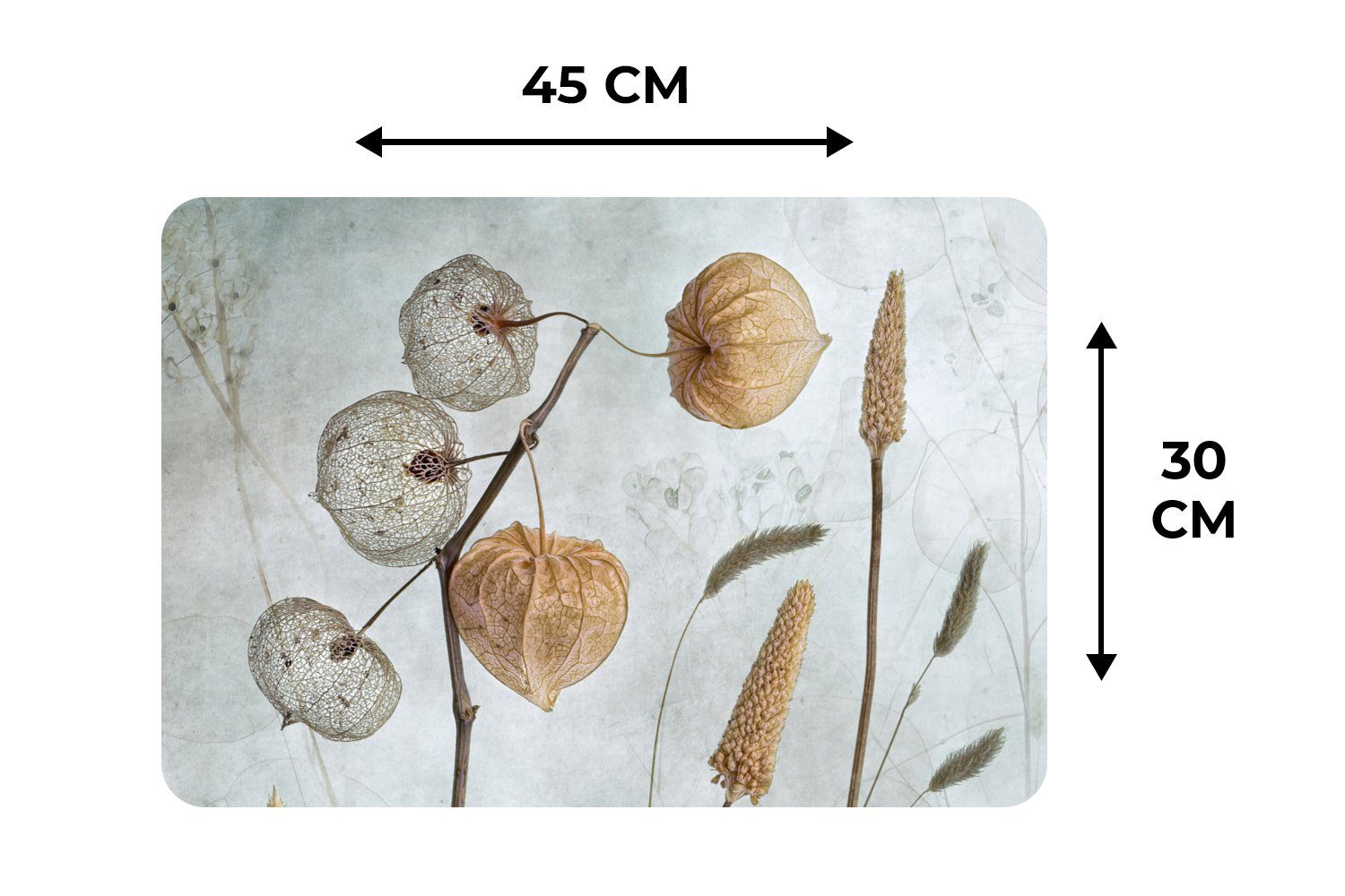 Natur - (6-St), MuchoWow, Trockenblumen Platzdecken, Stilleben - Platzset, Braun, - Platzset, Herbst - Platzmatte, Schmutzabweisend Tischmatten,