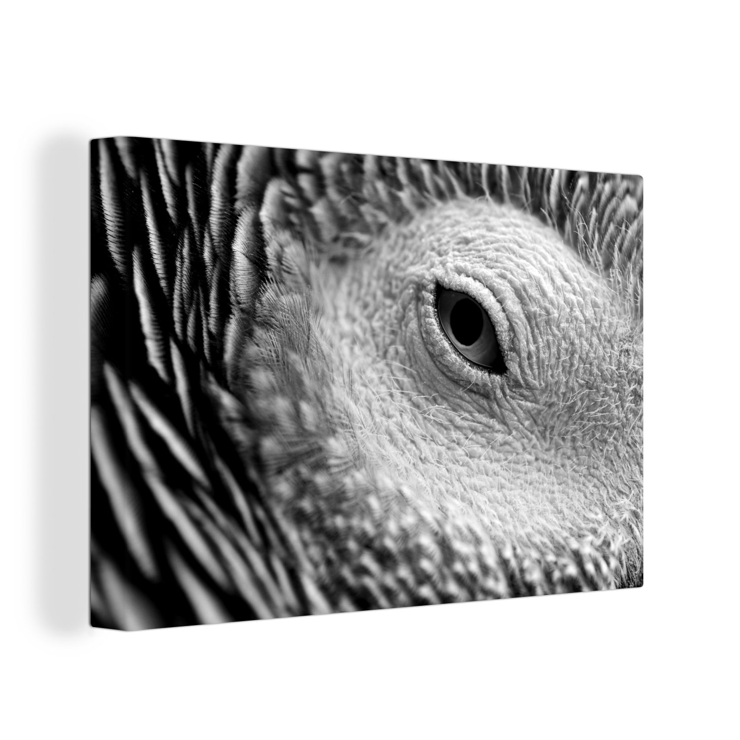 OneMillionCanvasses® Leinwandbild Ein Detailfoto eines Gartenrotschwanzes - schwarz und weiß, (1 St), Wandbild Leinwandbilder, Aufhängefertig, Wanddeko, 30x20 cm