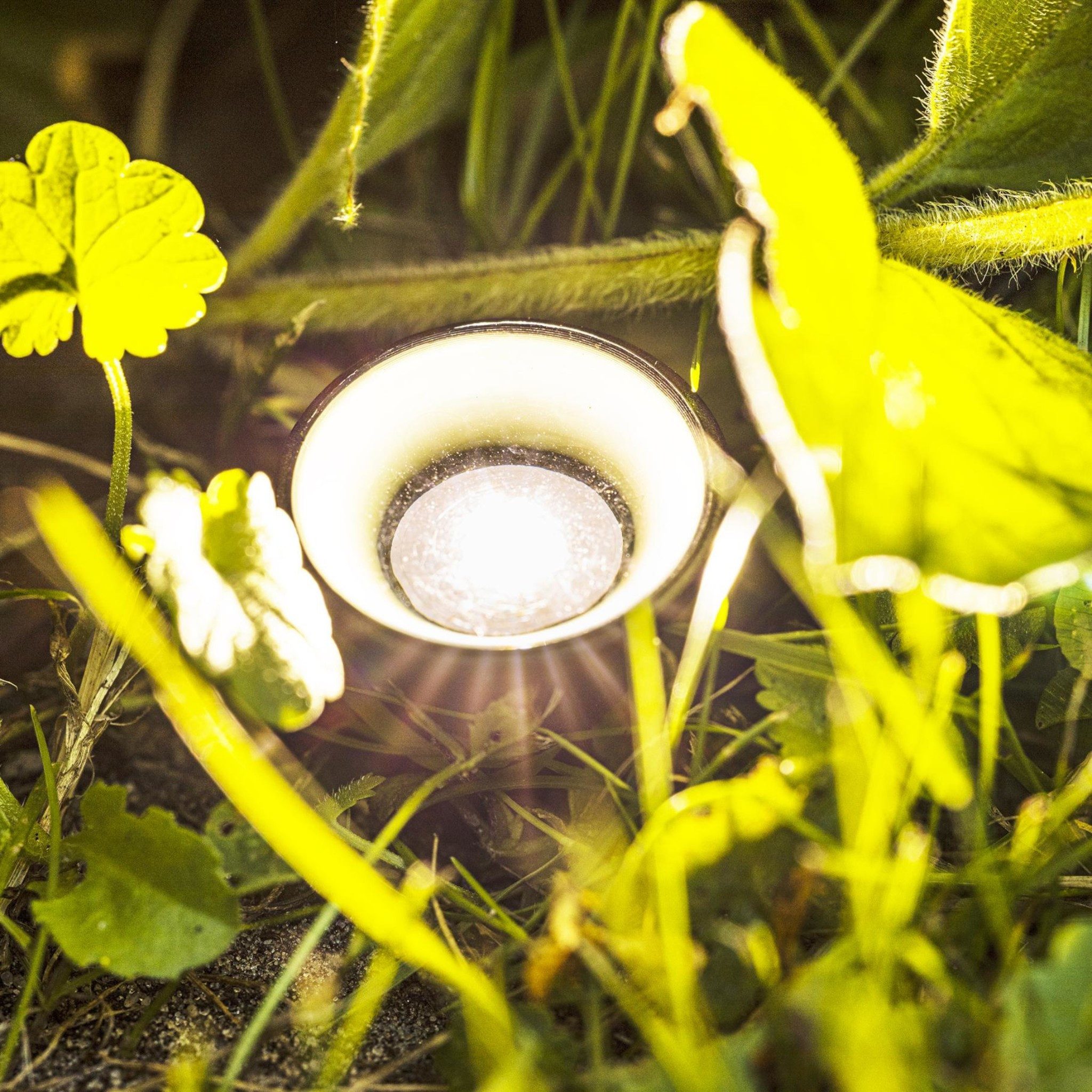 Meinposten Gartenleuchte Solarlampen Solarleuchten Pflanzstrahler Balkon Kübel Garten 10x LED, LED fest integriert – Bild 3 von 5