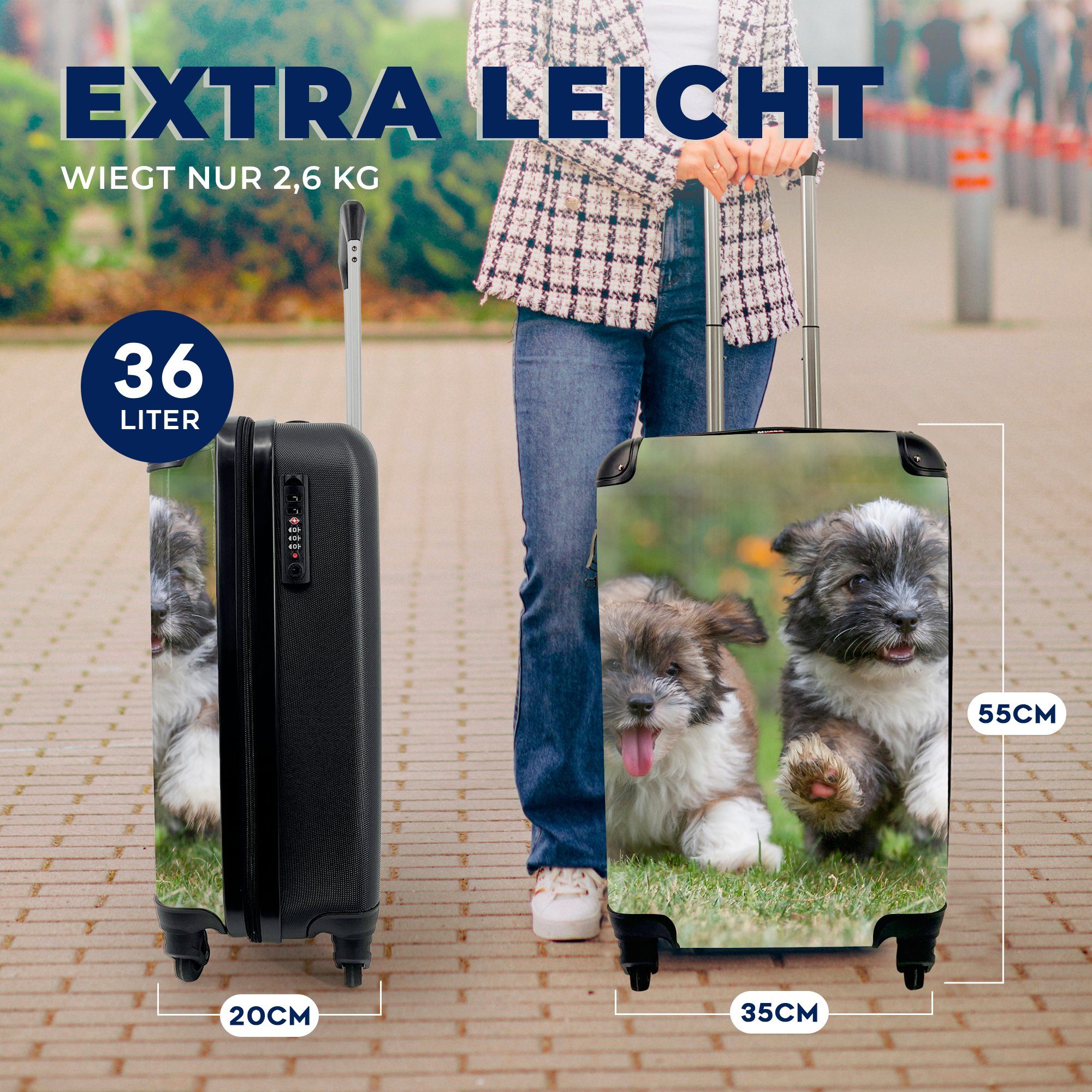 Reisetasche MuchoWow - Reisekoffer für Welpen Tiere, Ferien, mit 4 - Trolley, rollen, Rollen, Handgepäckkoffer Handgepäck Hunde