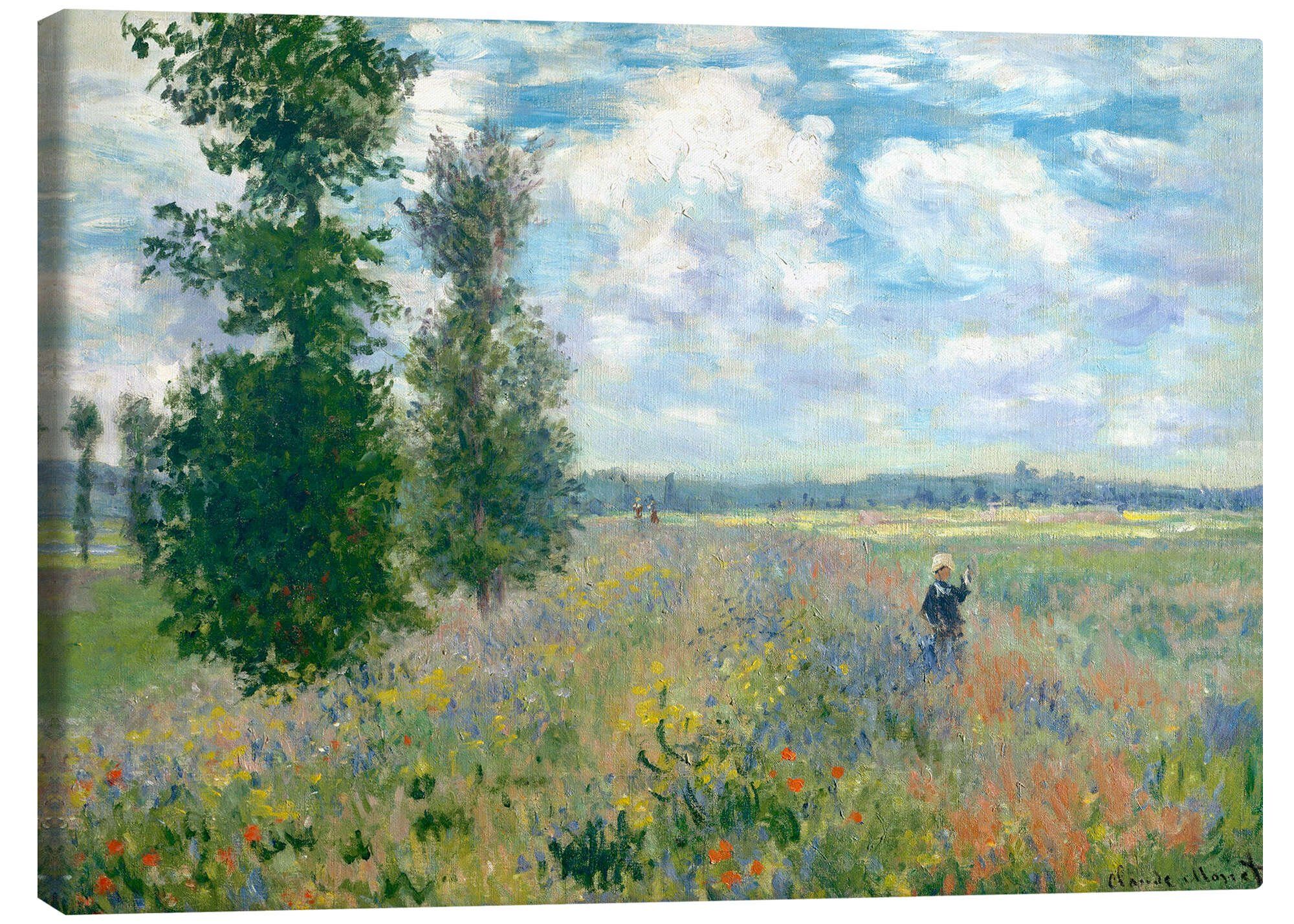 Posterlounge Wandbild Mohnfelder in der Nähe günstig online kaufen