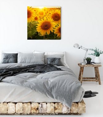 Pixxprint Leinwandbild Sonnenblumen auf dem Feld, Sonnenblumen auf dem Feld (1 St), Leinwandbild fertig bespannt, inkl. Zackenaufhänger