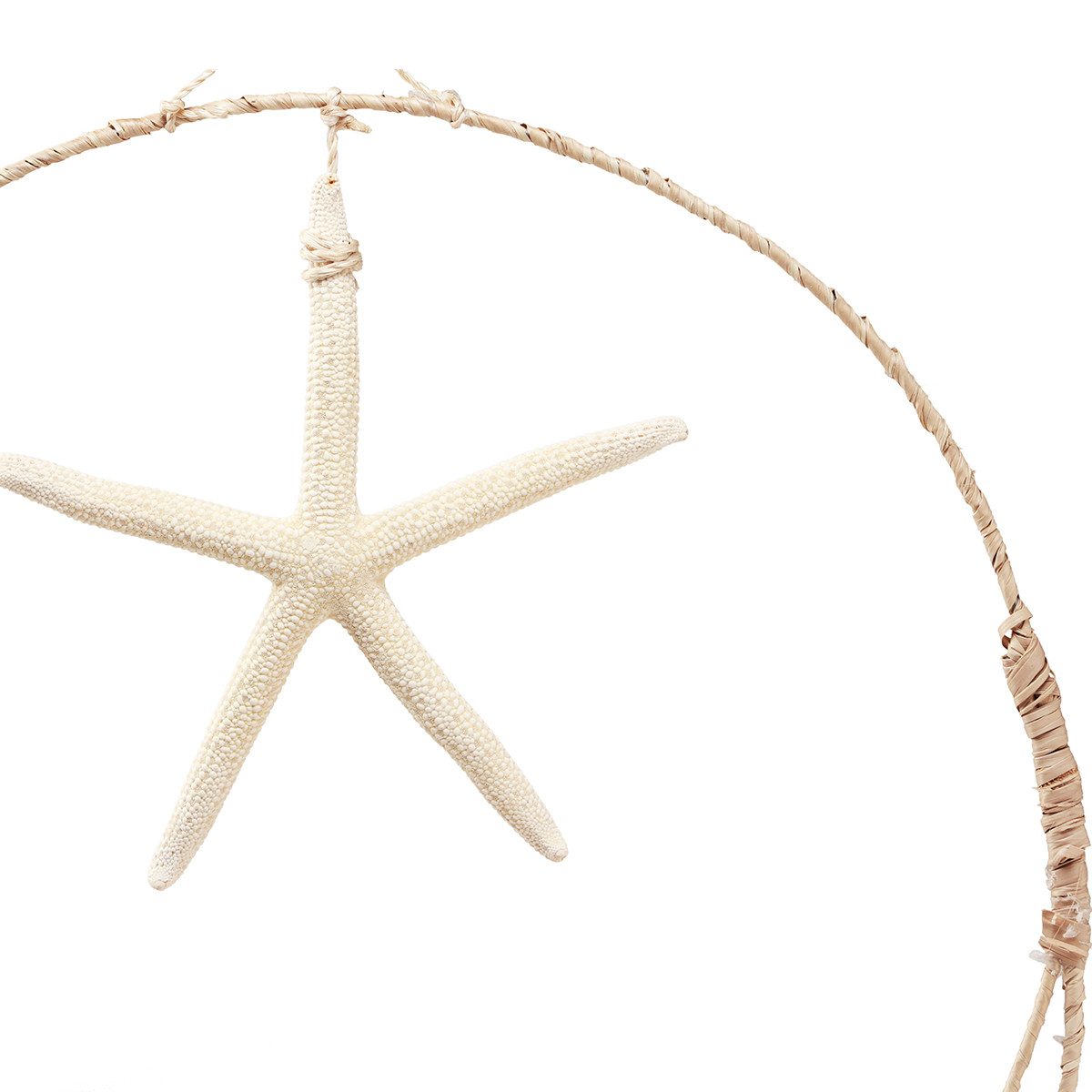 DIJK Dekofigur Maritime Wanddeko Seestern und Muscheln, Natürliches Design