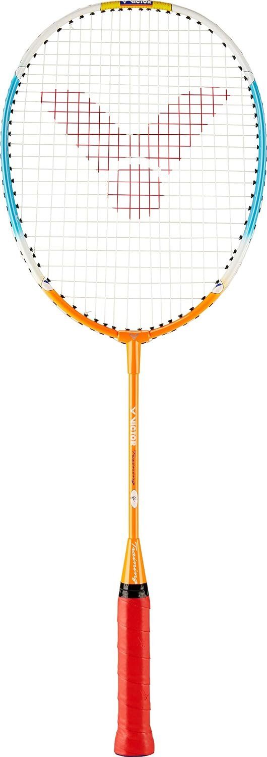 Badmintonschläger Training